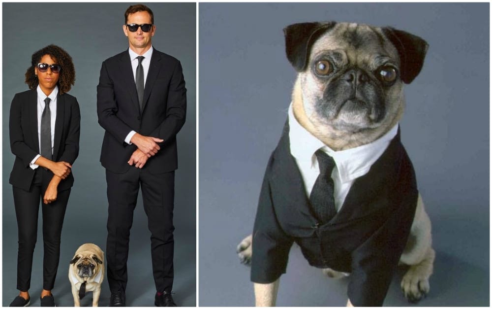 last-minute halloween costumes 25