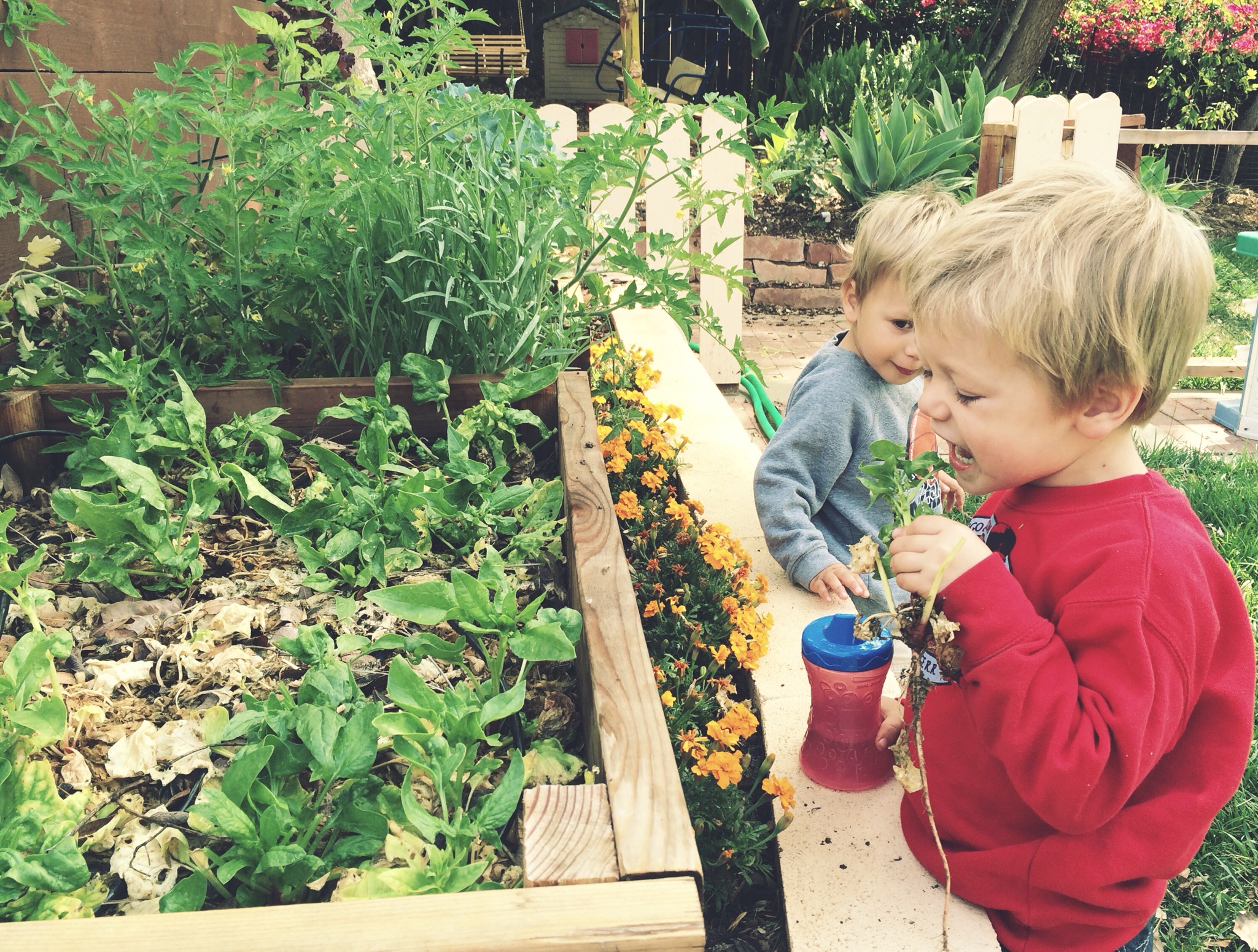 Kids helping with the garden 