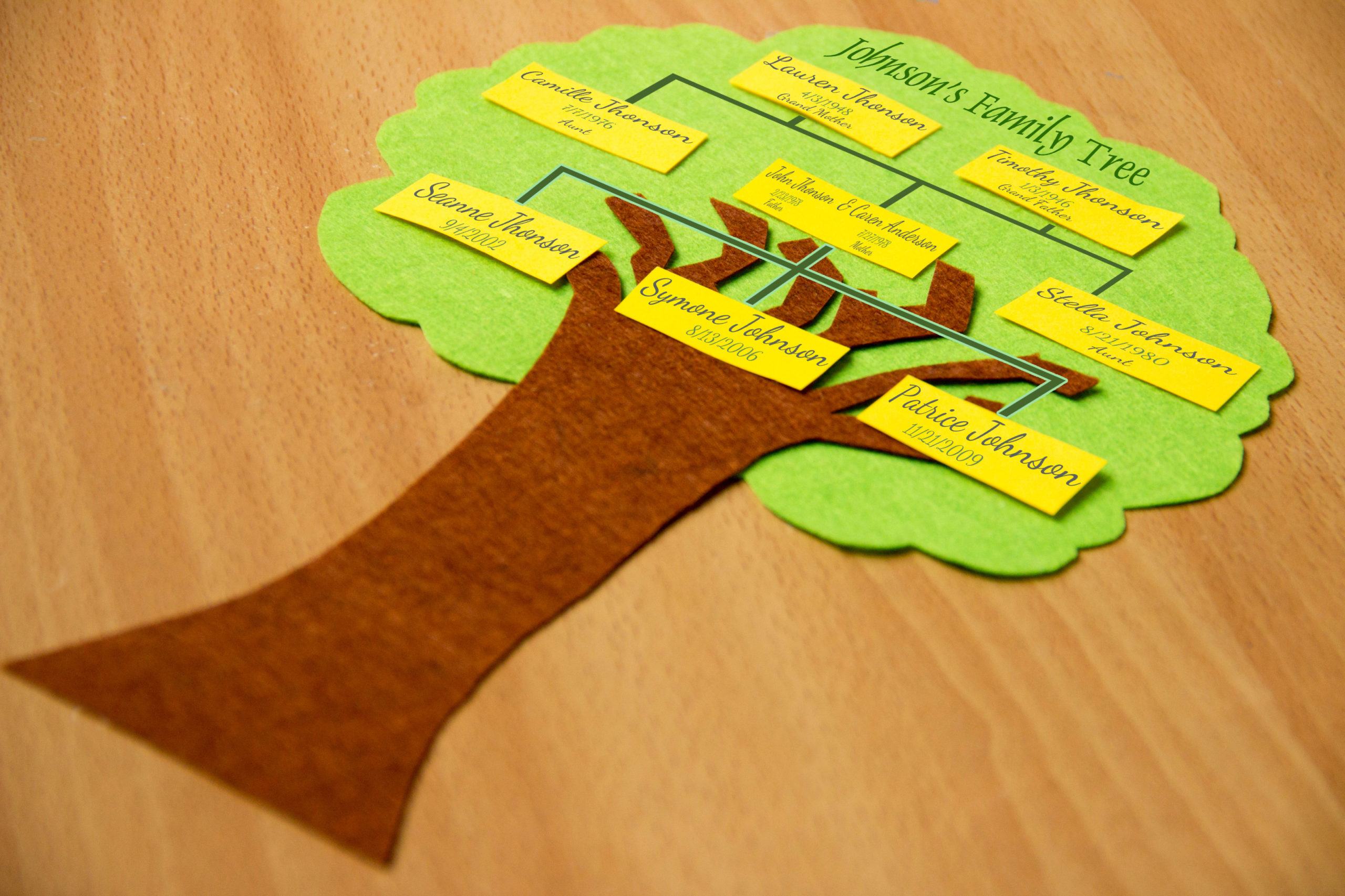 DIY family tree at home 